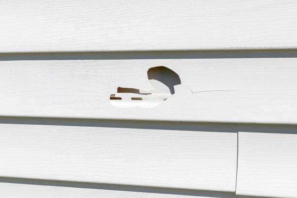 Best Shed Removal  in Murillo, TX