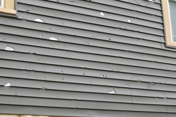 Best Hoarding Cleanup  in Murillo, TX